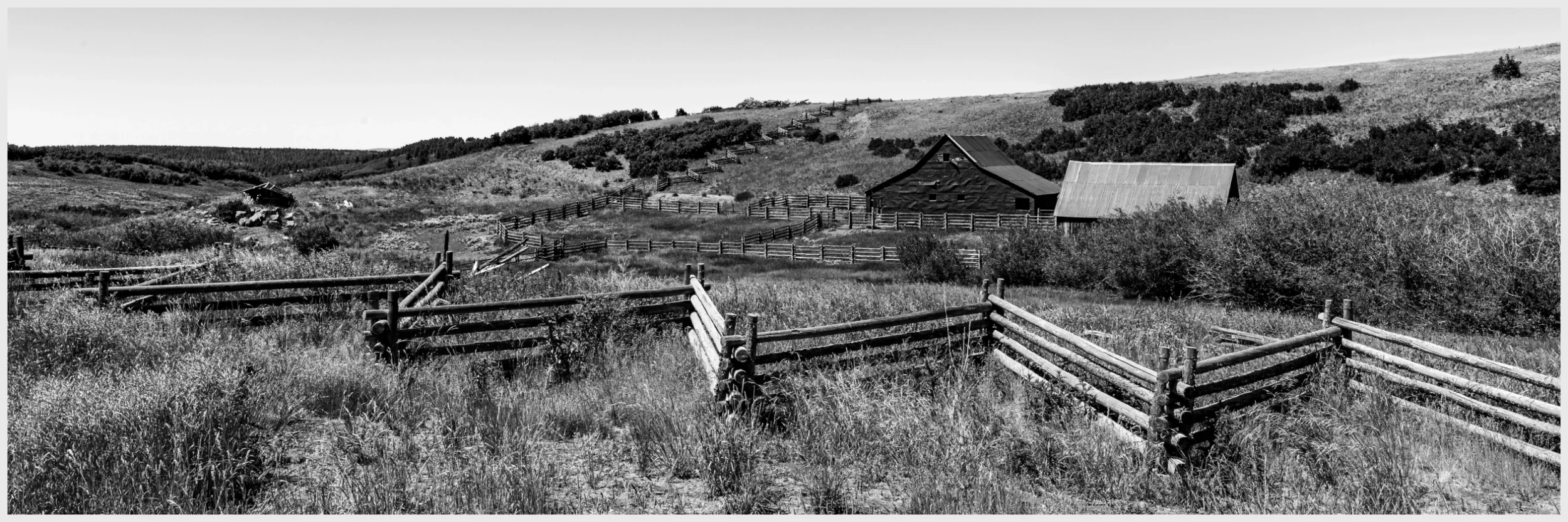 This photograph taken near Ridgeway, Colorado, features a tranquil rural scene emphasizing a network of wooden fences that weave through the landscape. Starting from the right, these fences guide the viewer's eye across the frame, much like strokes in a detailed sketch, adding depth and directing the narrative of the scene. Their textures and patterns are accentuated by the interplay of light and shadows, beautifully captured in monochrome. Centrally located, an old barn with weathered metal siding stands as a testament to the area’s agricultural heritage, serving as a focal point that suggests stories and histories of rural life whispered on the wind.